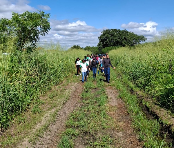 Através de parcerias, Secretaria de Agropecuária, Desenvolvimento Rural e Meio Ambiente realiza trabalho dia de campo sobre palma forrageira